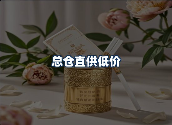 专业团队办公环境